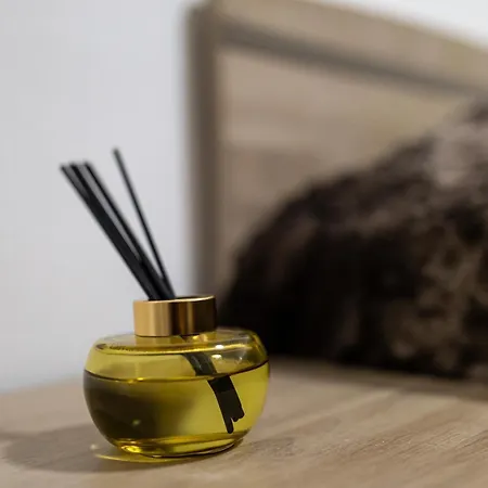 Très Belle Apparemment 80 M2 Double à Proche Zénith Gare Centre Chu Hôpital