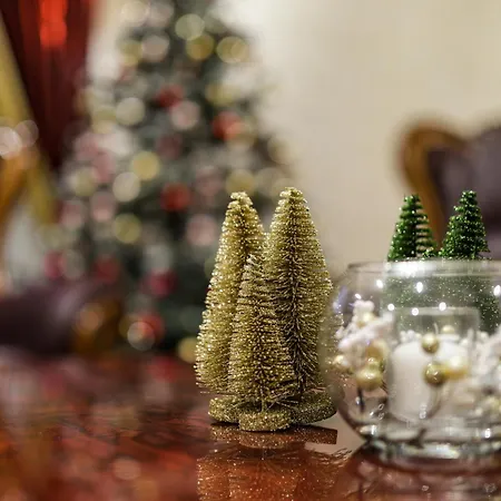 公寓 Tres Belle Apparemment 80 M2 Double Sejour A Proche Zenith Gare Centre Chu Hopital 斯特拉斯堡