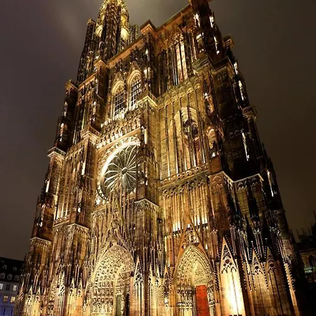 Tres Belle Apparemment 80 M2 Double Sejour A Proche Zenith Gare Centre Chu Hopital 公寓 *